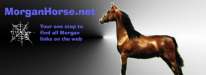 MorganHorse.net free links and classifieds